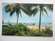 Postcard Jetty Through Coconut Palms Green Island Near Cairns North Queensland Australia By Murray Views My Ref  B11444 - Cairns