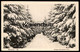 ALTE POSTKARTE MEERANE IN SACHSEN WILHELM-WUNDERLICH-PARK 1944 Winter Tannen Schnee Ansichtskarte Postcard Cpa AK - Meerane