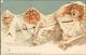 AK Berge Mit Gesichter, Eiger, Mönch, Jungfrau, F. Killinger Zürich N° 115, Um 1900, Aus Leporello (S1-231) - Otros & Sin Clasificación