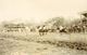 RP: HORSE RACING  AT PINDI RACES, RAWALPINDI, PAKISTAN ~ COLLECTION OF CPL TUBBS ~ EAST SURREY REGIMENT ~ INTER WAR ERA - Pakistan