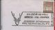 Preservation Of The Environment And Animals.Chital.Cervideo Of India.Axis Axis.Chital. Deer In Indien.Axis.2scnRare. - Milieubescherming & Klimaat