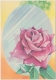 1981-EP-100 CUBA 1981 POSTAL STATIONERY. Ed.128i. DIA DE LAS MADRES. MOTHER DAY SPECIAL DELIVERY. ROSA FLOWER UNUSED - Storia Postale