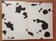 Delcampe - Disney - Mickey Club Du Livre - Les 101 Dalmatiens (1982) - Disney