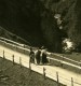 Suisse Rosenlaui Wetterhorn Ancienne Stereo Photo Wehrli 1900 - Stereoscopic