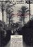 Delcampe - REVUE P.O.N° 18-1931-CHATEAU KERAMBEIS-RIO JANEIRO-DIEGE MAREGES-USSEL-COCHON TRUFFE-DELPEYRAT BONNEFON-ESPAGNE VALENCE - Railway & Tramway