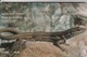 CYPRUS - European Chameleon/Troodos Lizard, 04/02, Sample No Chip And No CN - Chipre