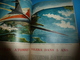 1955 SCIENCE Et VIE  -->Astrologie-Vérité ; Le Miracle De La Vallée De L'Eyrieux ; Etc - Science