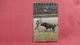 Bull Fight Suerte De Banderillas  Ref 2646 - Corrida