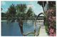 USA, Silver Springs Florida FL, Crooked Palm, Glass Bottom Boats, Unused 1960s Vintage Postcard - Silver Springs