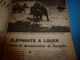 Delcampe - 1953 SCIENCE Et VIE  N° 433 ---> Mystère De L'ile De Paques; Le Tunnel Brooklyn-Manhattan; Etc - Wissenschaft