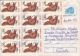 SQUIRREL,  STAMPS ON CRAIOVA REGISTERED COVER STATIONERY, ENTIER POSTAL, 1996, ROMANIA - Rongeurs