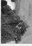 Delcampe - REVUE P.O. ILLUSTRE-N° 13-1931-ROCAMADOUR MOULIN SAUT-MERLES-VILLECOMTAL-PORCELAINE LIMOGES SAINT YRIEIX-MONTFORT VITRAC - Ferrocarril & Tranvías