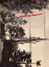 Delcampe - REVUE P.O. ILLUSTRE-N° 24-1932-INDUSTRIE PAPIER SAINT JUNIEN-SAINT BRICE-INDUSTRIE BETTERAVE-TOURY-ILE MOINES-PAQUEBOT- - Railway & Tramway