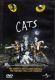 Delcampe - * LPs *  14 OF THE BEST DUTCH MUSICALS EVER!:  GODSPELL, TSJECHOV, CATS, MY FAIR LADY A.o. - Musicals