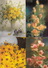 11 LARGE POSTCARDS: FLOWERS / BLUMEN / FLEURES / BLOEMEN - 'Flora Festival'- Holland - Bloemen