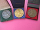 3 Médailles Ancienneté/IRSID/Institut De Recherche De La Sidérurgie/Bronze-Argent-Or/attribuées/1972-77-82        MED148 - Frankrijk