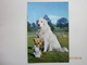 Postcard Teddy Edward And Jasmine With Dog  My Ref B21669 - Games & Toys