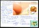 Austria Pc Postcrossing 2014, Stamps Food, Flora - Briefe U. Dokumente