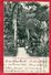 MARTINIQUE SAINT PIERRE JARDIN DES PLANTES ANIMEE CARTE PRECURSEUR TIMBREE GROUPE PAIX 10C NOIR 1901 - Autres & Non Classés