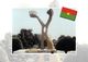 Afrique > Burkina Faso  Place Noa-ba Koom, Le Roi De L'eau ( NABA KOOM  Ouagadou )( LA CARTE AFRICAINE N°604)*PRIX FIXE - Burkina Faso