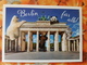 PANDA  - Bear - White Bear - Koala - Modern German Postcard - Berlin - Other & Unclassified