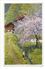 17147 -  Paysage Cerisier En Fleurs Et Enfant Au Bord De La Rivière Série 422 N° 5465 - Autres & Non Classés