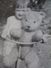 D152246  Old Photo   Child Biking  With A Huge Teddy Bear  Biker Bike Bicycle Vélo Fahrrad  - Ca 1960 - Cyclisme