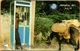 Jamaica - GPT, Donkey, 1/93, Without CN, Demo Card, Loaded? - Jamaica