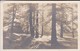 88---VOSGES--SAINT-DIE  ?----voir 2 Scans - Saint Die