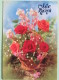 Poland 1999 Postcard ""flowers Roses"" Zluchow To England - Country Estates Oblegorku - Zodiac Gemini - Poland