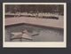 1967. USSR. Postcard. Moscow. Monument To The Unknown Soldier. Pioneers. Eternal Flame. - Monuments