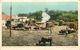 DETROIT - 1904 - WEICHING SUGAR CANE BEFORE UNLOADINGAT THE MILL - Detroit