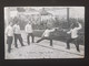 CPA Escrime, Pompiers, Assaut Au Fleuret - Fencing