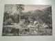 E33  RIO DE JANEIRO BRESIL Le Lac Du Jardin Des Plantes 1908 - Rio De Janeiro