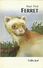 YOUR FIRST FERRET - COLIN JEAL - 1999 ( FRET FURET FRETTCHEN ) - Animaux