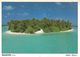 Maldives 1995 Male Roseate Tern (Sterna Dougallii) Bird Viewcard - Maldiven (1965-...)