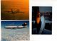 Lot De 7 Cartes Lufthansa : B727, A300, B707, B727, DC10, B747, Aterrissage - 1946-....: Modern Era