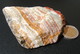 ONYX MARBRE Brut (Calcite + Aragonite) : Bloc Massif  . 70mm . 217g - Minéraux