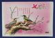 Bird Password,Rare Bird,China 2007 Henan New Year Greeting Pre-stamped Letter Card - Hirondelles