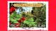 ITALIA - Usato - 2010 - Giardini Botanici Hanbury - 0,60 &euro; - Giardini Botanici Hanbury, A Ventimiglia - 2001-10: Used