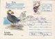 BIRDS, TUFTED PUFFIN, REGISTERED COVER STATIONERY, 1996 ROMANIA - Albatros