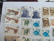 TIMBRE Inde India Valeur 9.90 &euro; - Used Stamps