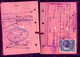 Delcampe - Bolivia-Peru 1928-1938 Pasaporte Peruano En La Paz. 26 Sellos. 17sc. See Desc. - Bolivia