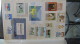 Delcampe - C Belle Collection De Timbres Et Blocs ** Du Monde . A Saisir !!! - Collections (en Albums)