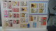 Delcampe - C Belle Collection De Timbres Et Blocs ** Du Monde . A Saisir !!! - Collections (en Albums)