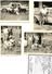 4 PHOTOS 1955 ANIMEES CHASSE AU MAROC VOITURE CHRYSLER PLYMOUTH - Voitures De Tourisme