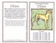 CALENDRIER  1999 - Format 10 X 13 Cm -  L'astrologie Chinoise CHIEN - Petit Format : 1991-00