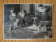 Schönes Altes Weihnachtsfoto Von 1928, Größe Ca. 17,0  Cm X 12,0 Cm, Junge Mit Eisenbahn, Puppenwagen, Puppe - Other & Unclassified