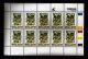 CISKEI, 1993, Mint Never Hinged Stamp(s ) In Full Sheet(s), MI 242-245, Invader Plants,  S953 - Ciskei