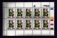 CISKEI, 1993, Mint Never Hinged Stamp(s ) In Full Sheet(s), MI 242-245, Invader Plants,  S953 - Ciskei